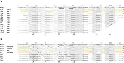 Effect of Mutations in GvpJ and GvpM on Gas Vesicle Formation of Halobacterium salinarum